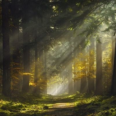 伊朗官员：战事结束必须按伊方时间表