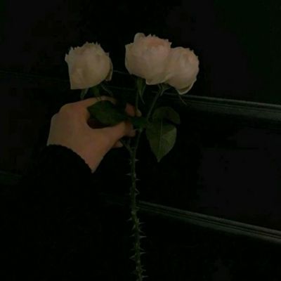 酒价内参3月25日价格发布 习酒君品跌幅居前，回落7元/瓶